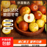 山东沾化冬枣新鲜水果生鲜脆甜冬枣鲜枣青枣小糖丸果园直发整箱 带箱3斤装（15g+）