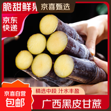 广西黑皮甘蔗新鲜当季水果脆甜杆蔗榨汁即食爽口甘甜饱满产地直发 【脆甜】净重3斤