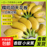 小米蕉广西网红迷你香蕉新鲜水果青蕉发货孕妇宝宝可食丫丫 带箱5斤/2250g青蕉发货