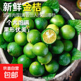海南小金桔新鲜青柠檬青柑皮薄应当季奶茶店水果柠檬青桔皮薄多汁 金桔（5-10g）带箱5斤  净重4.6