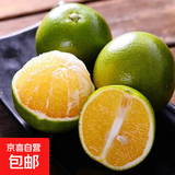 【翡翠橙】云南冰糖橙玉溪青皮冰糖橙橙子生鲜脐橙 云南冰糖橙2枚装60-65mm