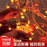 红灯笼小彩灯小夜灯喜庆喜事结婚庆祝电池神器闪灯串灯满天星家用喜庆节日灯饰 灯笼金色+红色2米【电池款】