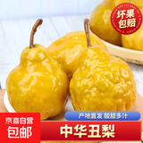 烟台中华丑梨 太婆蜜梨软梨子核小甜糯多汁当季新鲜水果整箱 中华丑梨4.5-5斤180g起