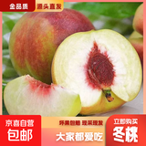 京喜加山东青州蜜桃青皮桃子当季现摘脆桃新鲜甜桃冬桃蜜桃小果-沐真 带箱5斤