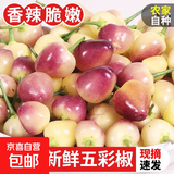 现摘七彩椒新鲜小辣椒蔬菜农家特产广东广西五彩椒泡椒可腌制剁椒 1斤