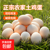 农家新鲜现捡土鸡蛋谷物饲养新鲜鸡蛋柴鸡蛋约40g/枚左右早餐买菜 20枚