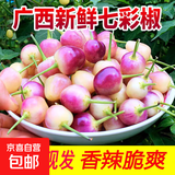 现摘七彩椒新鲜小辣椒蔬菜农家特产广东广西五彩椒泡椒可腌制剁椒 2斤净重1.8斤
