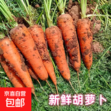 新鲜胡萝卜现挖带泥当季农家自种脆爽多汁水果蔬菜超市直播间同款 新鲜胡萝卜 带箱3斤