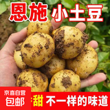 【富硒产区】恩施小土豆马铃薯新鲜高山农家迷你小洋芋【活动】 恩施小土豆一斤【鸡蛋大小，净重】