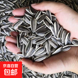 新货净重现炒熟瓜子大颗粒散装原味葵花仔特价生货批新鲜葵花子 【特大炒熟】1斤装原味瓜子