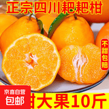 四川不知火丑柑香甜多汁清甜爽口当季耙耙柑橘子桔子 带箱5斤【净重4.5斤】大果75mm+