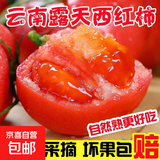 水果番茄西红柿自然成熟沙瓤皮薄新鲜蔬菜生鲜瘦身减脂可生吃 大果，净重 4.5斤 单果＞100g