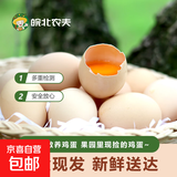 【东东农场专供】黑凤鸡可生食鸡蛋礼盒生鲜鲜鸡蛋无菌蛋营养早餐 20枚可生食鸡蛋