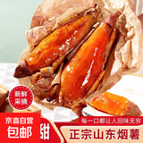 新鲜沙地烟薯25号糖心流油蜜薯红薯早餐必备超市京东包邮真便宜 3斤 带箱 小果宝宝薯