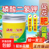 磷酸二氢钾正品农用水溶肥花卉专用叶面肥硫酸亚铁花肥料通用开花 磷酸二氢钾【三瓶*250克】共750g
