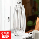 北欧轻奢玻璃花瓶透明客厅高级感插花水养鲜花装饰精致花器摆件 【27透明】璀璨花瓶