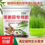 葱姜蒜专用肥料果蔬绿植大葱生姜种菜复合化肥颗粒缓释肥有机肥料 葱姜蒜肥料2500克一大桶