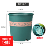 花大爷三代加仑盆控根透气塑料盆室内阳台绿萝盆栽种植专用花盆 第三代高1加仑【口径16cm】1个盆 不带托盘