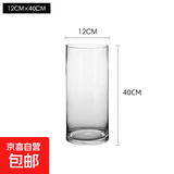 兜拍特大号加厚玻璃花瓶直筒水培花瓶水培富贵竹转运竹透明百合 口径12CM高40CM【高硼硅】单只