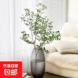 玻璃花瓶摆件客厅插花水养雪柳马醉木专用大肚花瓶透明轻奢高级感 30cm菩提灰色