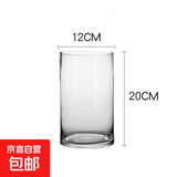 兜拍特大号加厚玻璃花瓶直筒水培花瓶水培富贵竹转运竹透明百合 口径12CM高20CM【高硼硅】单只