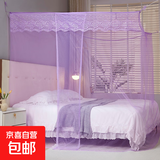 【万单爆款】老式家用蚊帐架 加密防蚊卧室双人床帐篷传统方顶 加密蕾丝紫蚊帐【绑绳款】 2.2m*2m*1.8m 长*宽*高