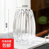 北欧轻奢玻璃花瓶透明客厅高级感插花水养鲜花装饰精致花器摆件 【20高透明】璀璨花瓶