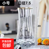 特大号轻奢创意简约玻璃花瓶透明水养鲜花北欧ins风客厅插花摆件 【20高描金】透明太阳花