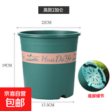 花大爷三代加仑盆控根透气塑料盆室内阳台绿萝盆栽种植专用花盆 第三代高2加仑【口径22cm】1个盆 不带托盘