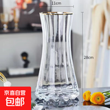 特大号轻奢创意简约玻璃花瓶透明水养鲜花北欧ins风客厅插花摆件 【28高描金】透明太阳花