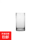 兜拍特大号加厚玻璃花瓶直筒水培花瓶水培富贵竹转运竹透明百合 口径10CM高20CM【高硼硅】单只