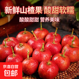 新鲜山楂果大山楂鲜果红果鲜山楂大果山里红冰糖葫芦现摘-盛禾田 甜红子山楂2斤装