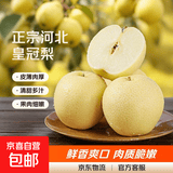 正宗河北皇冠梨产地直发深泽皇冠梨10 带箱4斤净重3.5斤