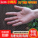 防鸟网果树果园大棚尼龙线防鸟用网农用樱桃树嘉宝果葡萄鱼塘天网 2米宽5米长【1.0网孔加粗耐用】