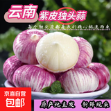 云南紫皮独头蒜干蒜果经3.0mm+ 大果直径3.0左右（14头）