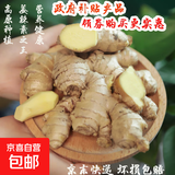 产地直发贵州镇宁新鲜现挖小黄姜生姜黄姜调味料新鲜蔬菜生鲜 半斤体验装 250g