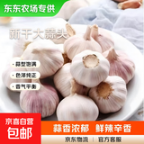 【东东农场专供】2025年新鲜七成干大蒜头 【东东农场专供】七成干大蒜头2斤含箱
