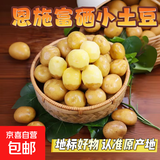 湖北恩施富硒小土豆黄心国家地标蔬菜高山种植鸡蛋大小生鲜京东 富硒小土豆 9斤含箱