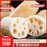 新鲜现挖鲜莲藕水果脆藕生鲜蔬菜早餐直播间超市京东包邮 新鲜莲藕9斤含箱