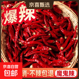 【东东买菜】特辣朝天椒小米辣小米椒巨辣魔鬼椒干辣椒特香辣椒 500g【净重0.8斤】