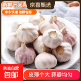新鲜干蒜即食水果大蒜蔬菜小龙虾生蚝调料蒜 新干大蒜750g含箱