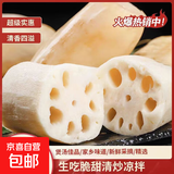 【真便宜】新鲜莲藕水果脆藕应季蔬菜脆嫩多汁火锅早餐凉拌直播间 精品脆藕2斤