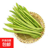 云南高山新鲜四季豆圆青豆农家蔬菜新鲜现摘蔬菜生鲜 带箱2斤