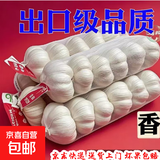 大蒜头出口品质网兜紫蒜蔬菜调料新鲜大果烧烤火锅食材 【精品网兜装】6头装 180g