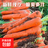河南新鲜胡萝卜当季农家自种萝卜脆爽多汁水果蔬菜胡萝卜素直播 新鲜胡萝卜 3斤 净重 100g起/支带箱
