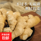 京喜加新鲜小黄姜高山生姜月子姜京东买菜蔬菜调料生姜 云南高山小黄姜净重1斤