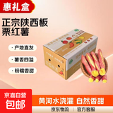 正宗陕西板栗红薯新鲜沙地蜜薯真便宜早餐超市直播间京东包邮 板栗红薯礼箱发货 3斤 含箱 大果（单果3两起）