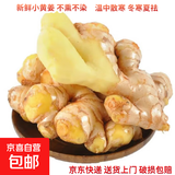 云南小黄姜新鲜生姜子生鲜姜月子姜超市蔬菜调料姜 5斤装2500g