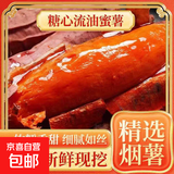 新鲜现挖烟薯25号软糯香甜烤地瓜红薯时令水果红薯蔬菜芋头土豆 沙地孕育的流心蜜薯，自然甜润无丝净重1斤