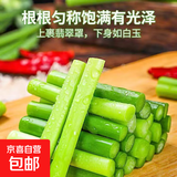 京喜加京东快递河北农家蒜苔生鲜蔬菜凉拌蒜苔超市同款【一件也是批发价】 【尝鲜】净重0.8斤